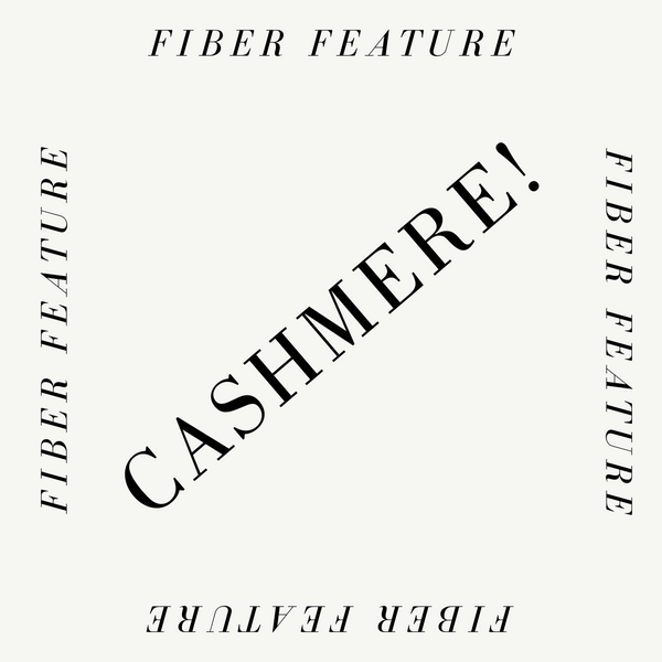 Fiber Feature: Cashmere