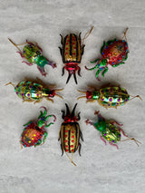 Forest Floor Beetle Ornament