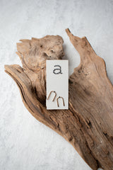 Short Staple Earrings - We Thieves