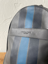 Vintage Varsity Striped Coach Backpack Grey Leather - We Thieves