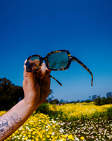 Love Buzz Black Frame Mauve Lens - We Thieves