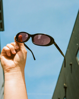 Love Buzz Black Frame Mauve Lens