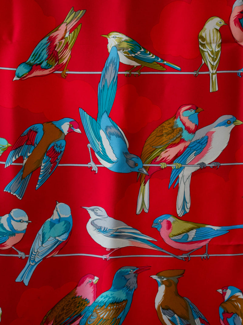 Vintage Hermes 1953 Les Oiseaux Des Champs Et Des Bois Silk Scarf - We Thieves