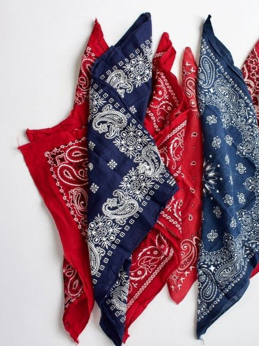 Made in USA Vintage Bandana - We Thieves
